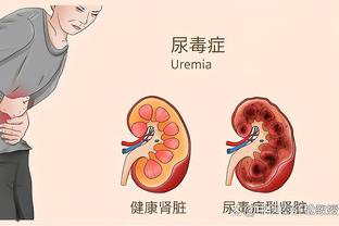 新利体育平台首页网址是什么截图0